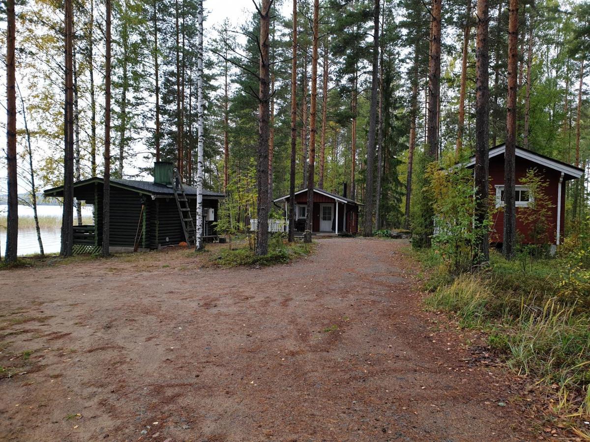 Nestorin Maja Villa Puumala Esterno foto